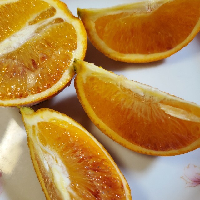 希少　熊本産　ブラッドオレンジ　5キロ　優品 食品/飲料/酒の食品(フルーツ)の商品写真