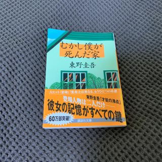 むかし僕が死んだ家(文学/小説)