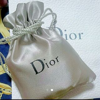 クリスチャンディオール(Christian Dior)のディオール ロゴ  巾着(ポーチ)