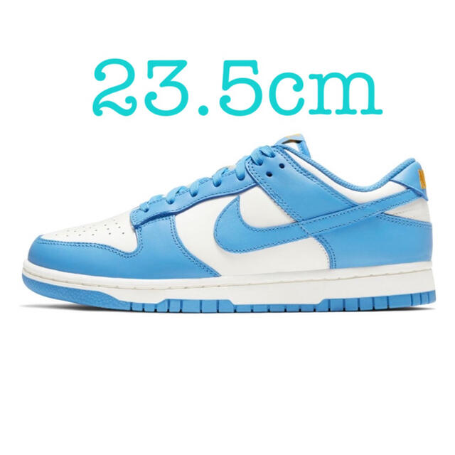 NIKE DUNK LOW COAST WMNS 23.5cm