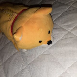 柴犬　ペンケース　筆箱(ペンケース/筆箱)