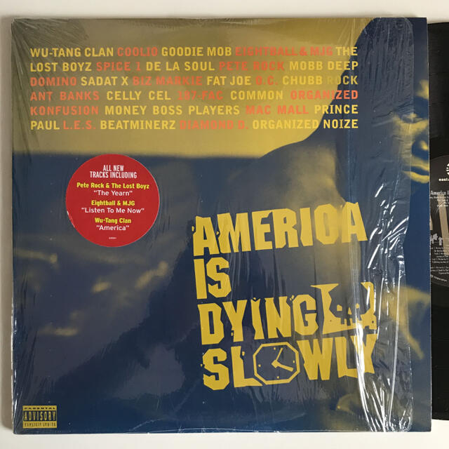 Various - America Is Dying Slowly