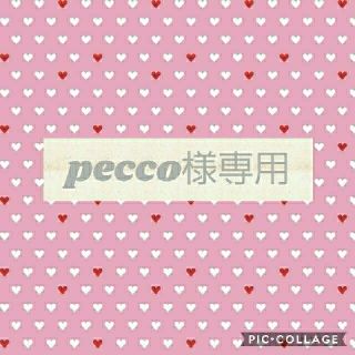 pecco様専用 ファスナー ブレスレット バッグチャーム ロッツォ (バッグチャーム)