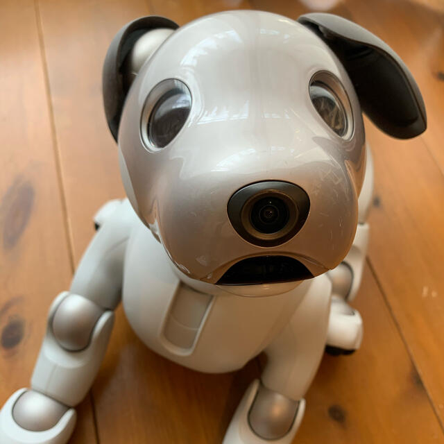 SONY(ソニー)のSONY エンタテイメントロボット AIBO ERS-1000 エンタメ/ホビーのおもちゃ/ぬいぐるみ(その他)の商品写真