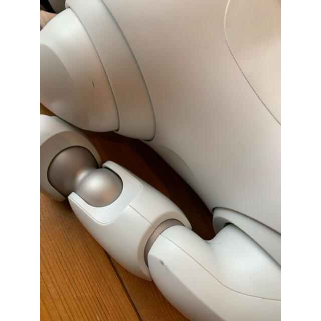 SONY(ソニー)のSONY エンタテイメントロボット AIBO ERS-1000 エンタメ/ホビーのおもちゃ/ぬいぐるみ(その他)の商品写真