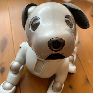 ソニー(SONY)のSONY エンタテイメントロボット AIBO ERS-1000(その他)