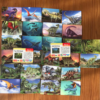 未使用◎恐竜カード(知育玩具)
