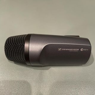 ゼンハイザー(SENNHEISER)のゼンハイザー e602II(マイク)