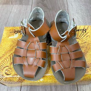 saltwater sandals shark Tan 6サイズ8サイズ(サンダル)