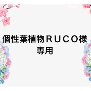 おすすめ！訳あり　B級　甘い紅かるか干し芋800g 茨城産(乾物)