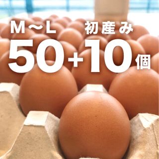 蔵王鶏園の「姉妹たまごセット」(野菜)