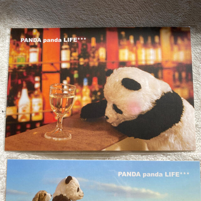 panda panda life ポストカード エンタメ/ホビーの声優グッズ(写真/ポストカード)の商品写真