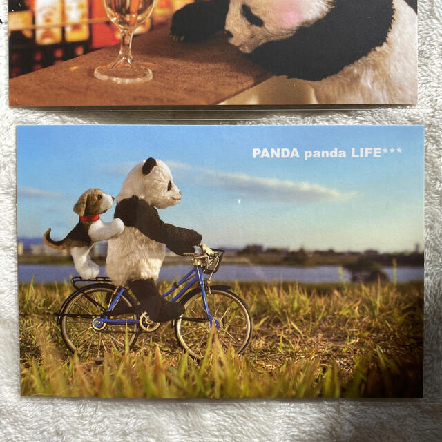 panda panda life ポストカード エンタメ/ホビーの声優グッズ(写真/ポストカード)の商品写真