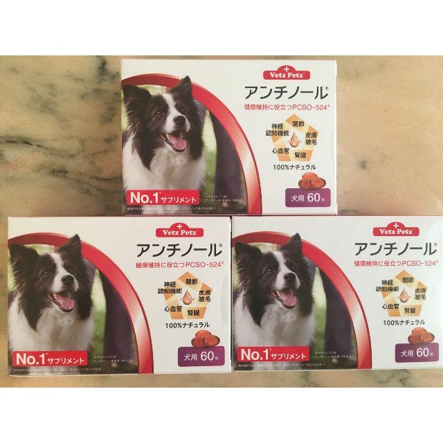 もっとお買い得　犬　サプリメント　アンチノール　３個　２月５日大安入荷超新鮮