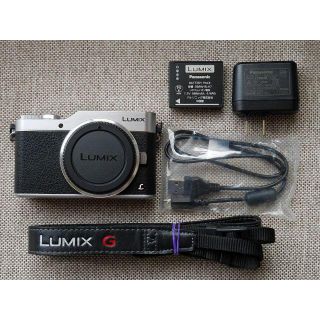 美品！ PANASONIC パナソニック LUMIX DC-GF9 シルバー