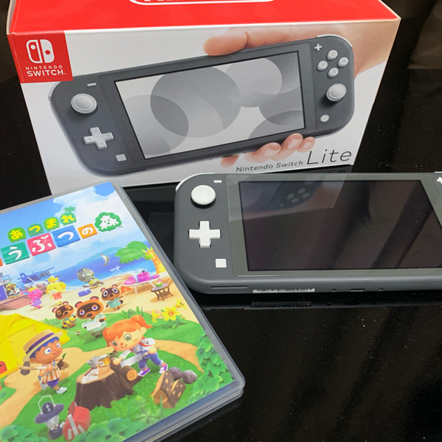 Nintendo Switch どうぶつの森セット＆グレ