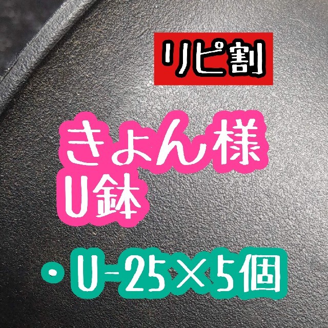 きょん様 U鉢 ハンドメイドのフラワー/ガーデン(その他)の商品写真