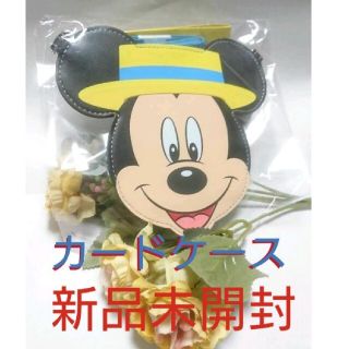 ディズニー(Disney)のディズニーリゾートバケーションパッケージ カードケース(キャラクターグッズ)