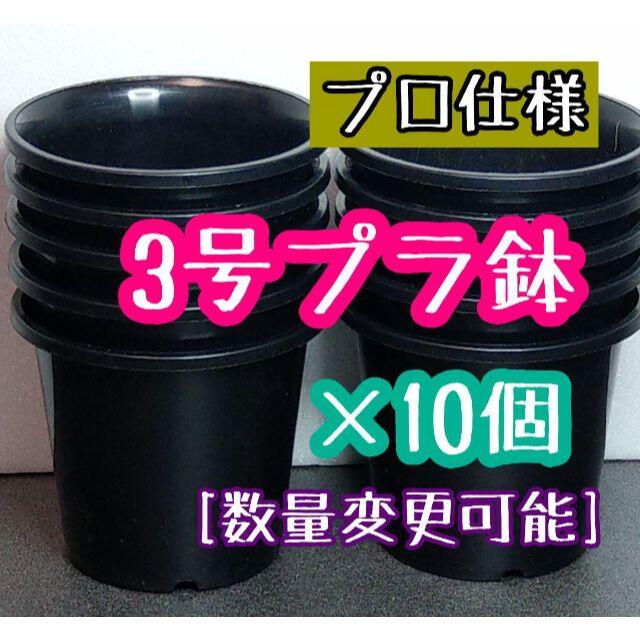 ◎10個◎ 丸鉢 3号 / 3寸 / 9cm プラ鉢 黒 ブラック ハンドメイドのフラワー/ガーデン(プランター)の商品写真