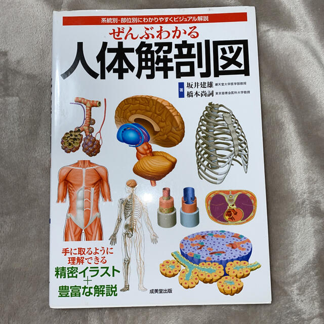 ぜんぶわかる人体解剖図 系統別・部位別にわかりやすくビジュアル解説 エンタメ/ホビーの本(健康/医学)の商品写真