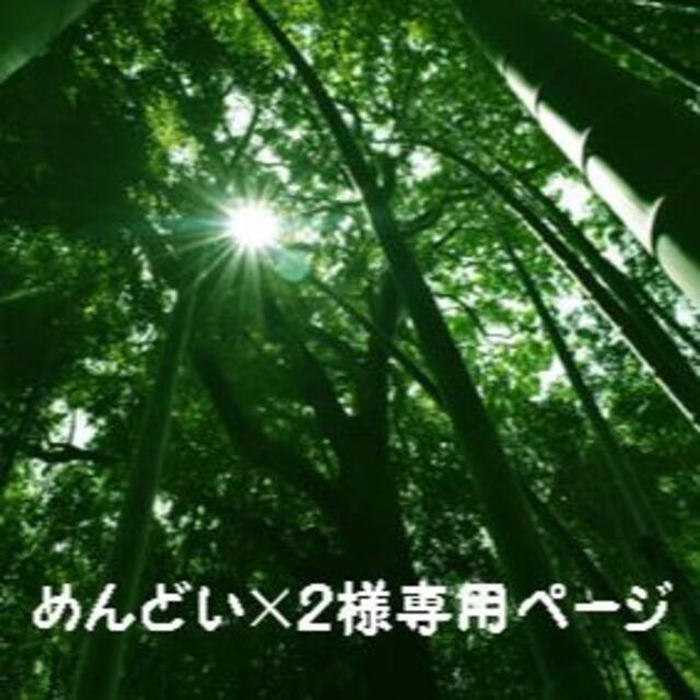 WMF圧力鍋 - 鍋/フライパン