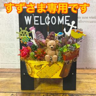 多肉植物の寄せ植え　ウェルカムボード　　(クマとお魚と多肉)(その他)