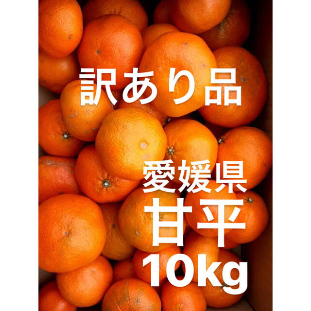 訳あり品　愛媛県　甘平　青み傷あり　10kg