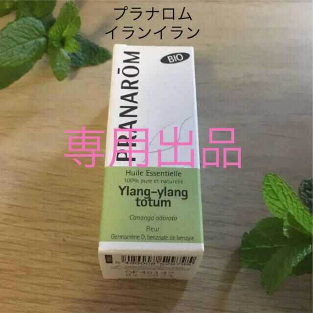 プラナロム イランイラン エッセンシャルオイル 5ml