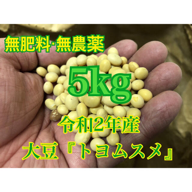 割安！新物大豆！！ 食品/飲料/酒の加工食品(豆腐/豆製品)の商品写真