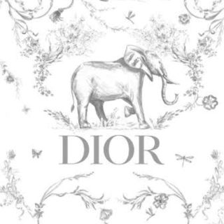 ディオール(Dior)の【専用】DIOR ノベルティ(ノベルティグッズ)