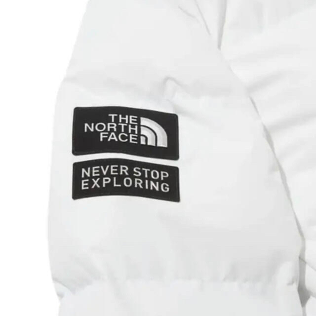 THE NORTH FACE(ザノースフェイス)のyabu55 専用 メンズのジャケット/アウター(ダウンジャケット)の商品写真