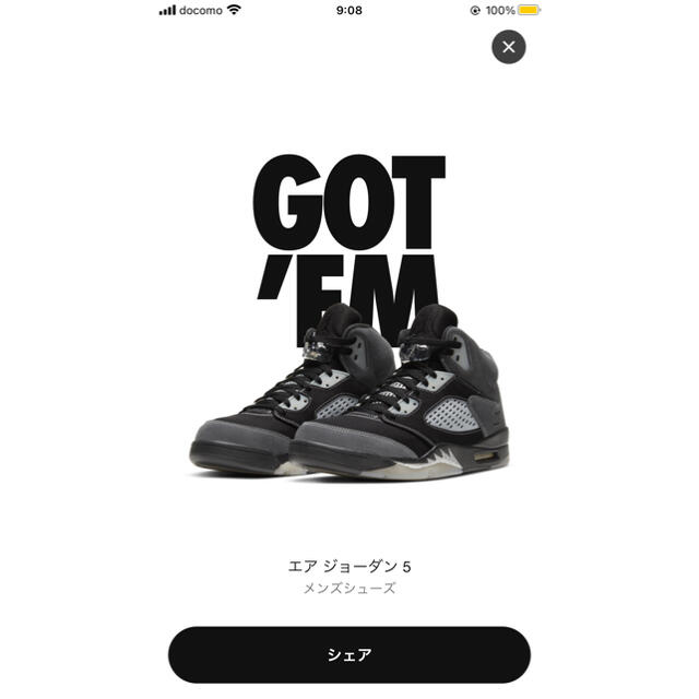 ２９センチ　Nike Air Jordan 5 Retro What The