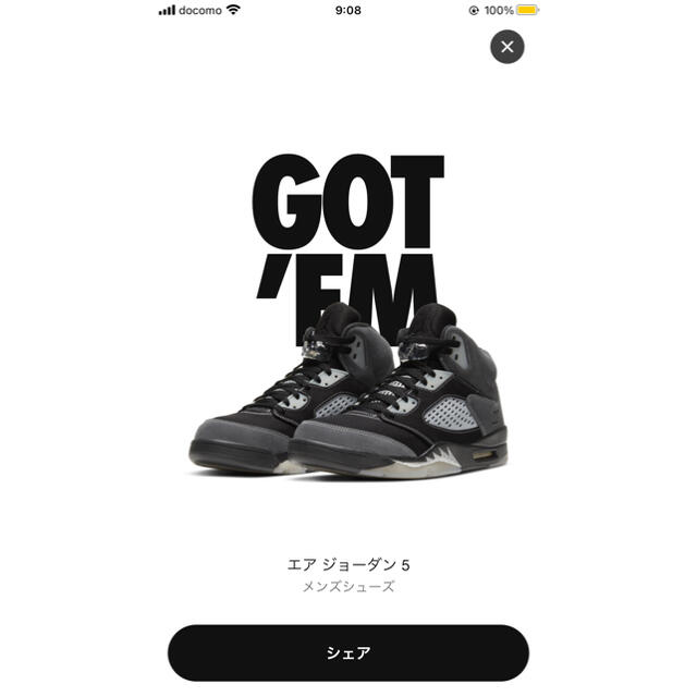 Air Jordan 5 Retro “Anthracite” 29センチ