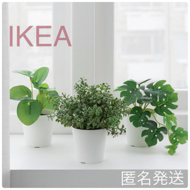 IKEA(イケア)の【新品】 イケア IKEA フェイクグリーン 3個セット ☆ インテリア/住まい/日用品のインテリア小物(その他)の商品写真