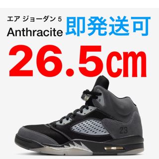 ナイキ(NIKE)のNIKE AIR JORDAN5(スニーカー)