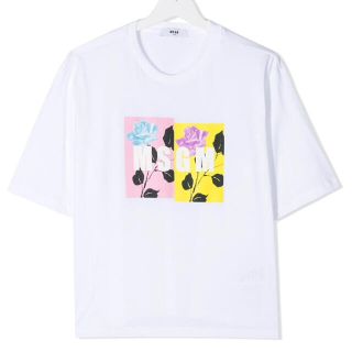 エムエスジイエム(MSGM)の【新品】MSGM 新作 ショートスリーブ Tシャツ 14Y 大人着用可能(Tシャツ(半袖/袖なし))