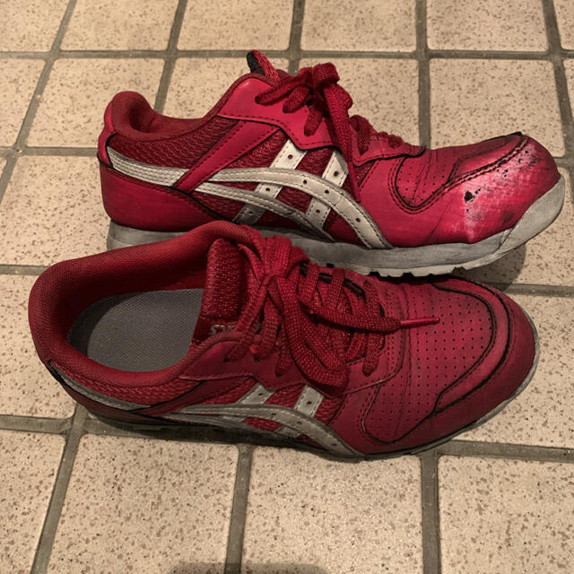 asics(アシックス)の安全靴 レディースの靴/シューズ(スニーカー)の商品写真