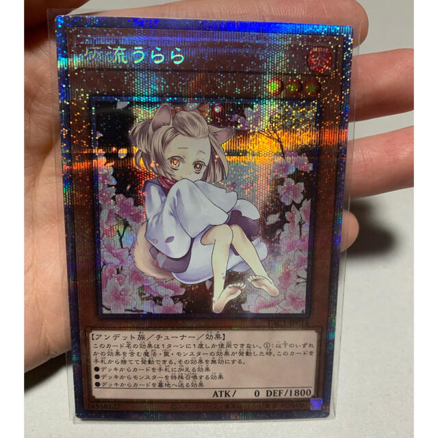 限定価格セール！ 遊戯王 - ぱるる 遊戯王絵違いプリズマ・絵違いシク