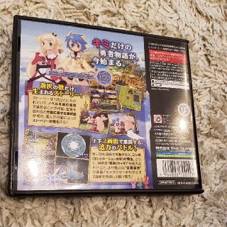 ニンテンドーDS - 【動作確認済み】ニンテンドーDS プレミアソフト