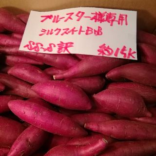 ブルースター様専用　超お得!!訳☆オーダー☆甘い貯蔵品シルクB品約15Kです。(野菜)