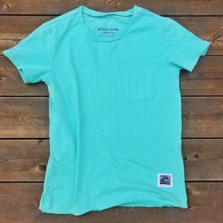 ザノースフェイス(THE NORTH FACE)の春のスタイル☆wave patch Tシャツ　Lサイズ☆ロンハーマン(Tシャツ/カットソー(半袖/袖なし))