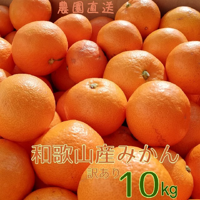 和歌山みかん　訳あり10㎏　農園直送 食品/飲料/酒の食品(フルーツ)の商品写真