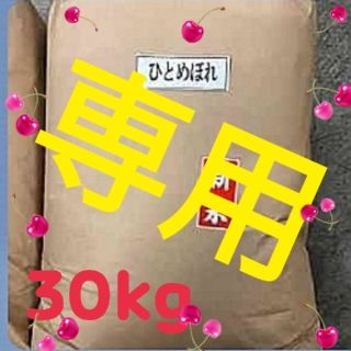 milky様専用 お米 ひとめぼれ 30kg 5kg×6袋 (米/穀物)