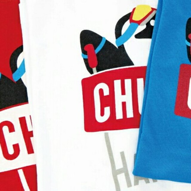 CHUMS(チャムス)の《新品未使用》CHUMS チャムス Tシャツ 白馬オリジナル ユニセックス メンズのトップス(Tシャツ/カットソー(半袖/袖なし))の商品写真