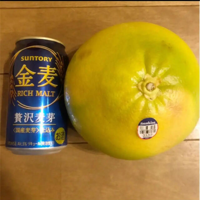 メロゴールド　超大玉　4玉 食品/飲料/酒の食品(フルーツ)の商品写真