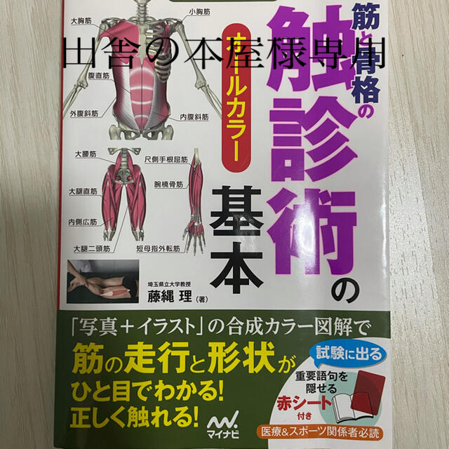 筋と骨格の触診術の基本 【田舎の本屋様専用】 エンタメ/ホビーの本(健康/医学)の商品写真