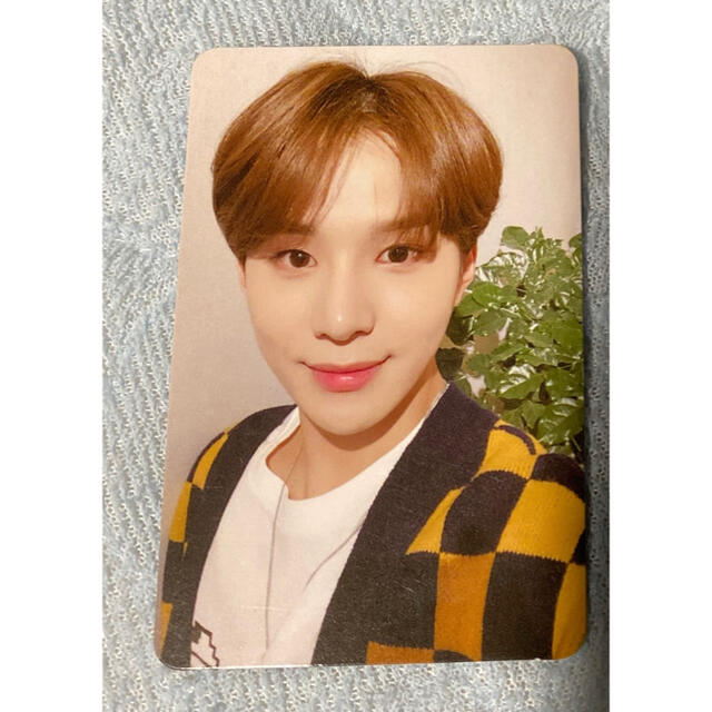 NATURE REPUBLIC(ネイチャーリパブリック)のNCT NCT127 ジョンウ　トレカ エンタメ/ホビーのタレントグッズ(アイドルグッズ)の商品写真