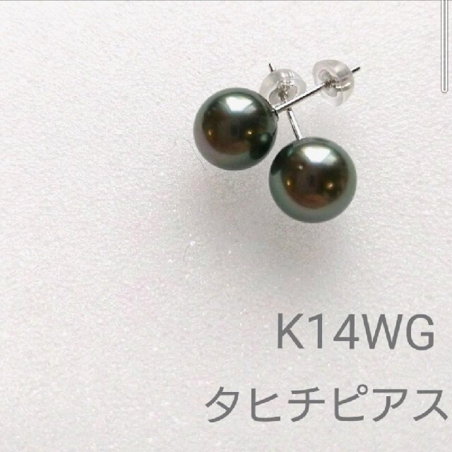 レディースK14WG 黒蝶真珠　タヒチアンパールピアス