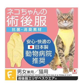 猫　術後服　(猫)