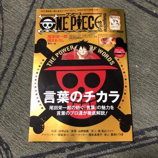 ＯＮＥ　ＰＩＥＣＥ　ｍａｇａｚｉｎｅ Ｖｏｌ．１１(その他)